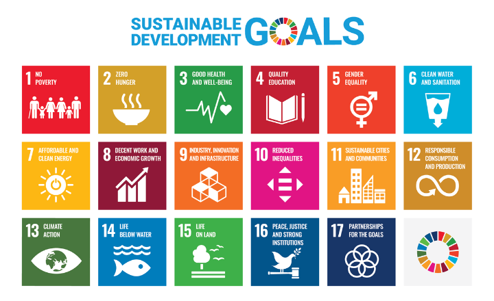 지속 가능한 개발 목표 SDGs
